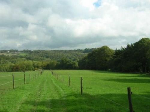 Little Tidebrook Farm Bed & Breakfast Wadhurst Eksteriør bilde