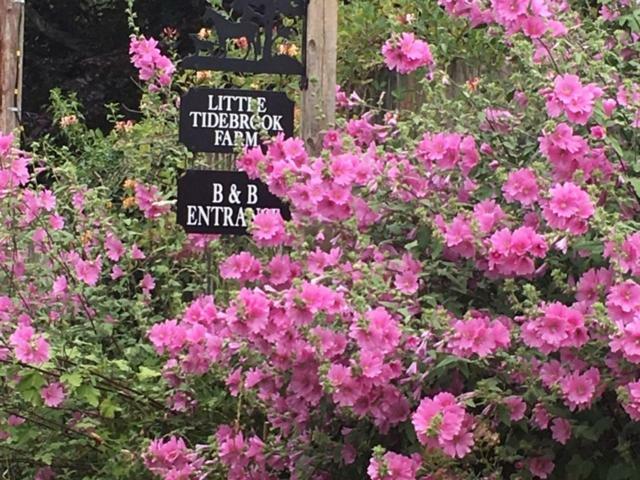 Little Tidebrook Farm Bed & Breakfast Wadhurst Eksteriør bilde